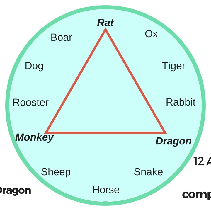 The 12 Chinese animal signs and their compatibility friends and